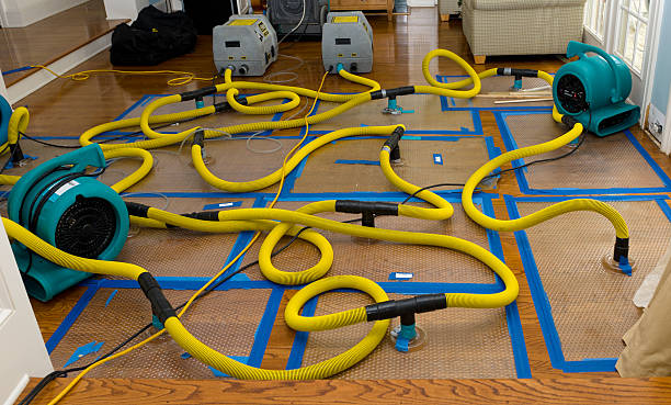 Professional Structural Drying And Dehumidification technician working in Bolton, MA